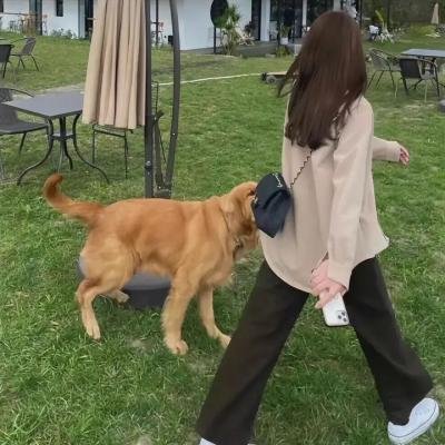 巧奔妙逃